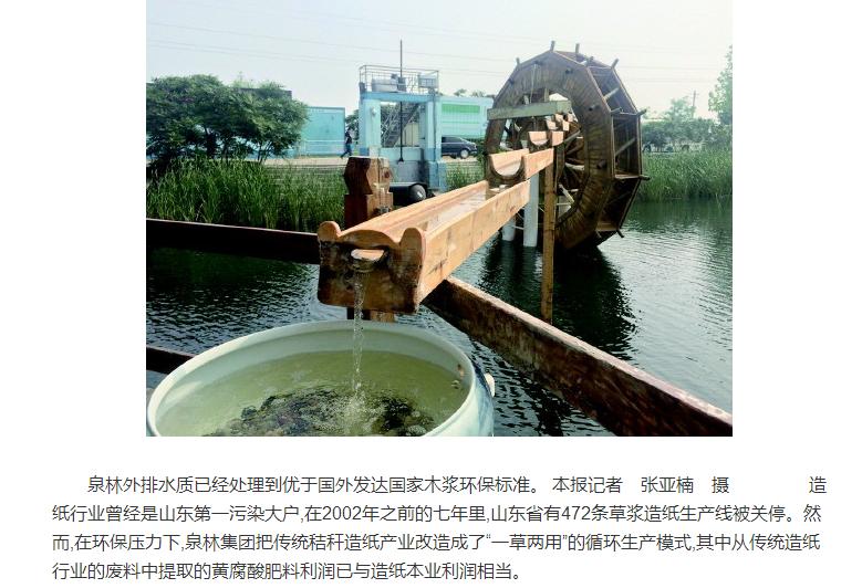 泉林紙業(yè)在“一草兩用”中逆襲：廢料中賺的錢都快趕超主業(yè)了
