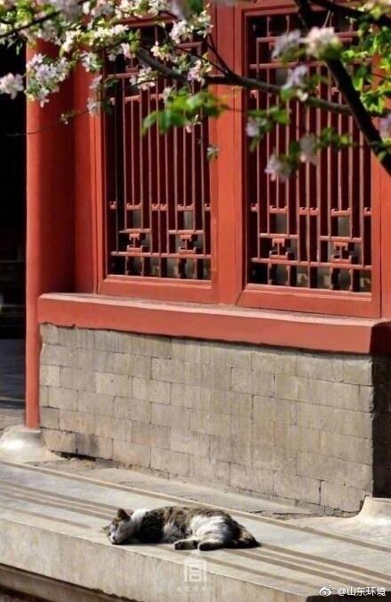 山東十七城市能見度排名